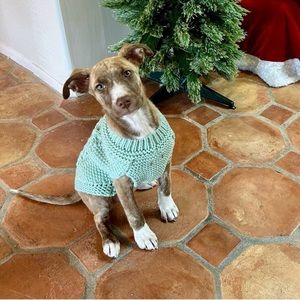 Mint Green Dog Sweater for Medium Breeds